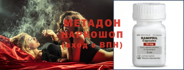 прущие грибы Алексин