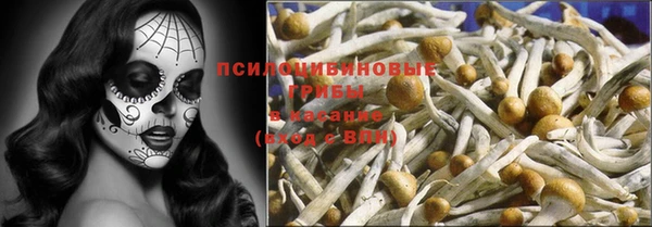 прущие грибы Алексин
