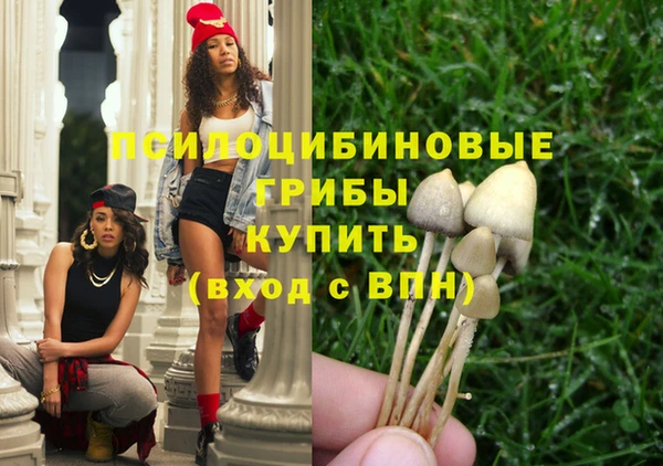 прущие грибы Алексин