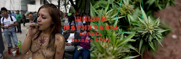 прущий лед Алзамай