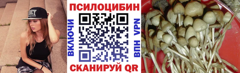 Псилоцибиновые грибы Cubensis Чкаловск