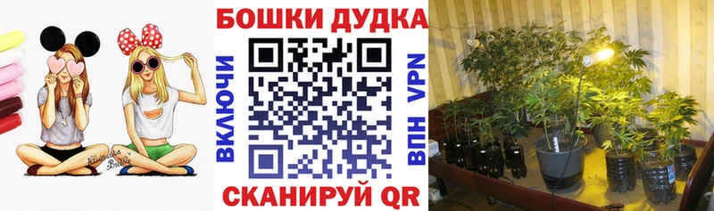 цена наркотик  Чкаловск  Конопля Ganja 